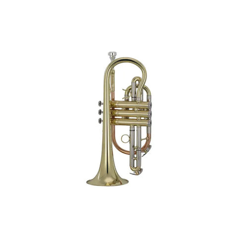 Corneta Wesner Bb 4 Válvulas Acero Inoxidable Modelo Pco2000-l