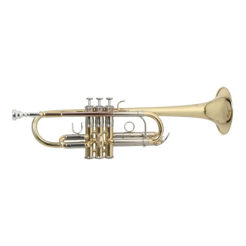 Trompeta Roy Benson Tr-402c En Do, Con Estuche Y Acabado Laqueado Dorado