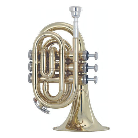 Trompeta De Mano En Bb Acabado De Latón Wesner Ptp2000-l