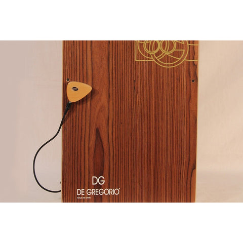 Pastilla Portátil Para Instrumentos Acusticos Kna Ap-1