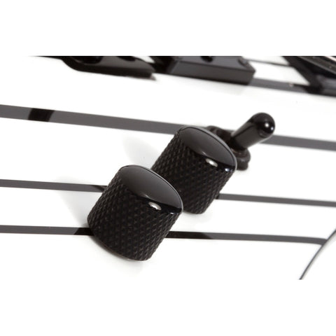 Guitarra Electrica Solida Schecter Synyster Standard Whi Diestro Gloss White With Black Pin Stripes Ébano