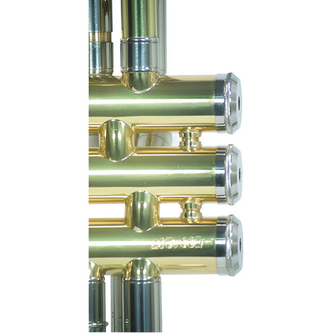 Trompeta Bb/c Laqueado Dorado Con Estuche Wesner Ptr1000c-g