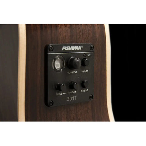 Guitarra Electroacustica Dreadnought Washburn D10sce Nat Natural
