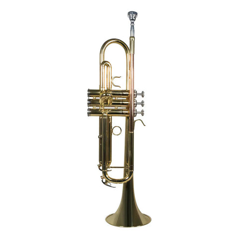 Trompeta Con Tonalidad Bb Laqueado Dorado Wesner Str1000-g