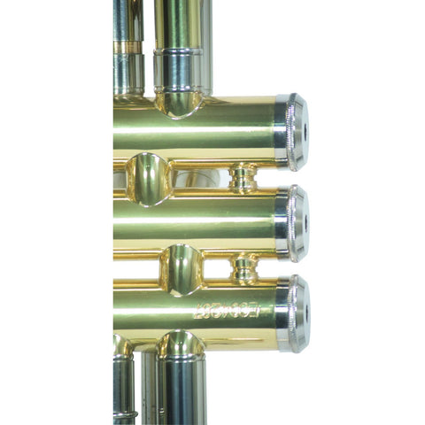 Trompeta Bb/c Laqueado Dorado Con Estuche Wesner Ptr1000c-g