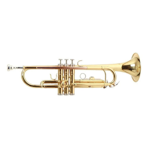 Trompeta Roy Benson Tr-101 Sib Latón Dorado Con Estuche Ligero