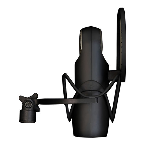 Micrófono Dinámico Aston Element Bundle Cardioide Estudio Color Negro