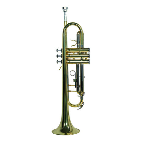 Trompeta Bb/c Laqueado Dorado Con Estuche Wesner Ptr1000c-g