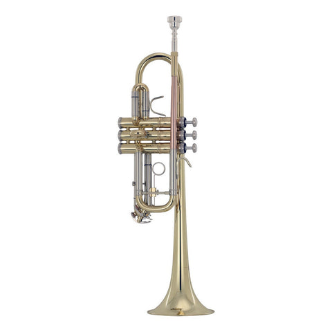 Trompeta En C Acabado De Latón Laqueado Wesner Ptr2000c-l