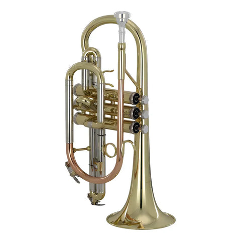 Corneta Wesner Bb 4 Válvulas Acero Inoxidable Modelo Pco2000-l