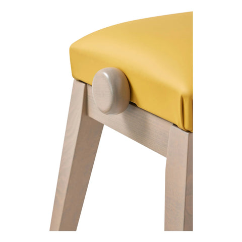 Banco Para Piano Casio Bg50-hm Altura Ajustable, Amarillo Amarillo