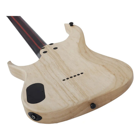 Guitarra Eléctrica Schecter John Browne Tao-6 6 Cuerdas Morado Ébano Diestro
