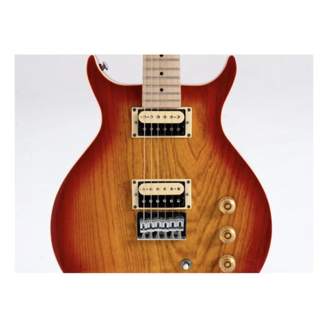 Guitarra Washburn Electrica Resonadora R5cb-u Diestro