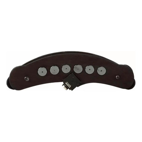 Pastilla Single Coil Para Guitarra Acústica Kna Sp-1