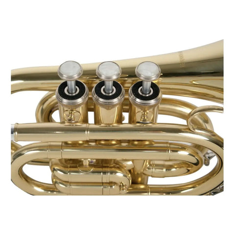 Benjamin Adams Pktr50 Trompeta Benjamin Adams Mod. Pktr50 Dorado