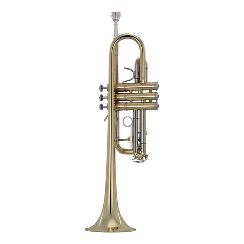 Trompeta En C Acabado De Latón Laqueado Wesner Ptr2000c-l