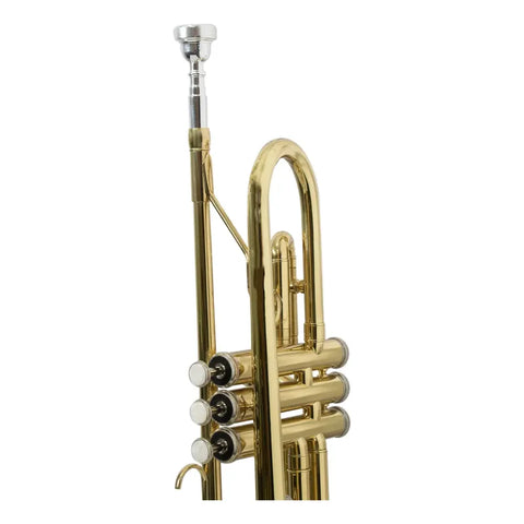 Trompeta Laqueada Tonalidad Bb Con Estuche Maxima Kftr-100g Laqueado