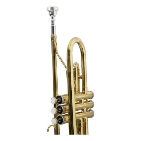 Trompeta Laqueada Tonalidad Bb Con Estuche Maxima Kftr-100g Laqueado