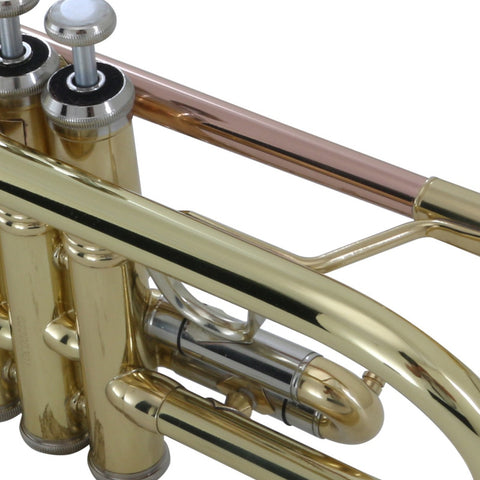 Trompeta En C Acabado De Latón Laqueado Wesner Ptr2000c-l