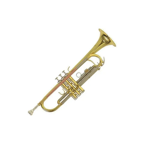 Trompeta Roy Benson Tr-202g Bb Bronce Con Estuche Y Boquilla
