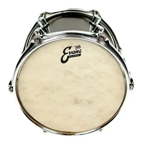 Evans Tt16c7 Parche Golpe Tom 16 Pulgadas Calftone Sintético