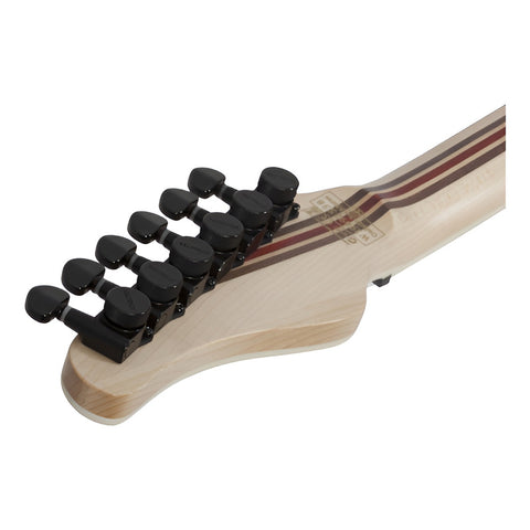 Guitarra Eléctrica Schecter Pt Sls Elit Evl Tw 6 Cuerdas Negro Diestro