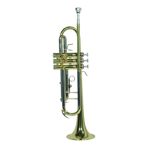 Trompeta Bb/c Laqueado Dorado Con Estuche Wesner Ptr1000c-g