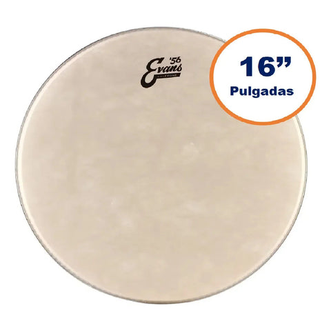 Evans Tt16c7 Parche Golpe Tom 16 Pulgadas Calftone Sintético