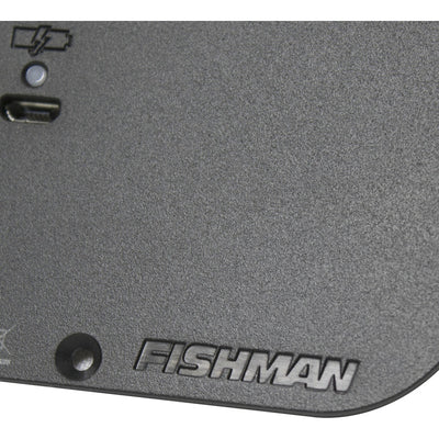 Pila Batería Recargable Pastillas Fluence Fishman Pro-bpkfsw