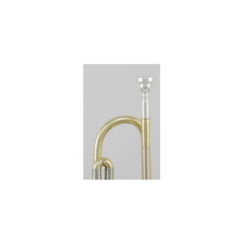 Trompeta Con Tonalidad Bb C/estuche, Roy Benson Tr-202g