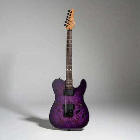 Guitarra Schecter Telecaster Pt Standard Purple Burl Material De Diapasón De Palisandro Guía Para La Mano Derecha Diestro Estallido Púrpura Burl Palo De Rosa