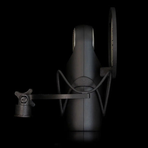 Micrófono De Estudio De Bobina Móvil Aston Element Bundle Negro