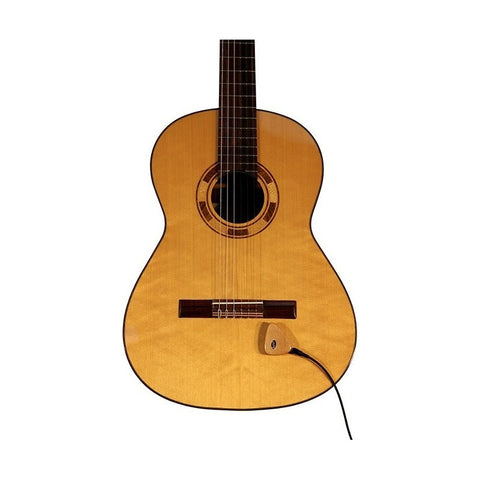 Pastilla Portátil Para Instrumentos Acusticos Kna Ap-1