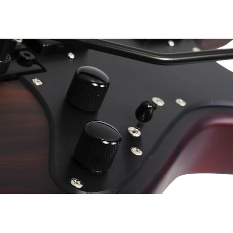 Guitarra Schecter Sun Valley Super Shredder Exotic Fr Zirico Diestro Bordó Wenge