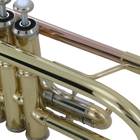 Trompeta En C Acabado De Latón Laqueado Wesner Ptr2000c-l