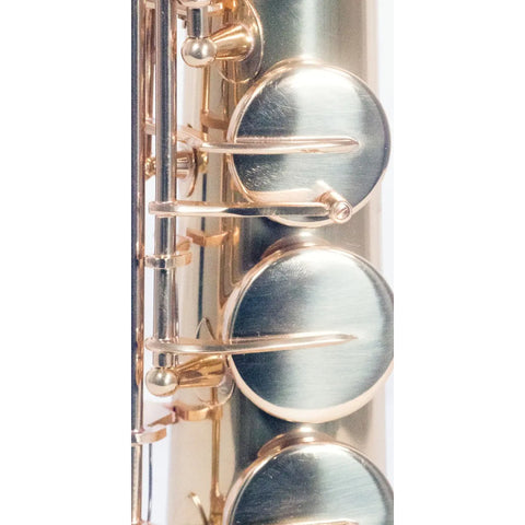 Saxofon Soprano Tonalidad Bb Llave De F# Wesner Sss1000-g
