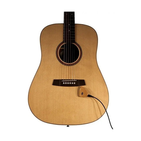 Pastilla Portátil Para Instrumentos Acusticos Kna Ap-1