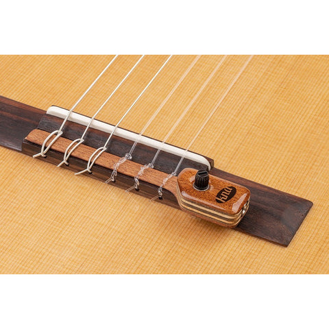 Pastilla Portátil Para Guitarra Flamenca O Clásica Kna Ng-2