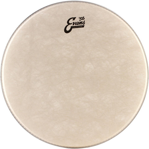 Parche De Golpe Para Tom De 10 Pulgadas Evans Tt10c7