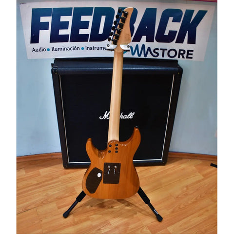 Guitarra Eléctrica Charcoal Burst, Schecter C-6 Fr Pro Cbu Diestro Charcoal Burst Wengué