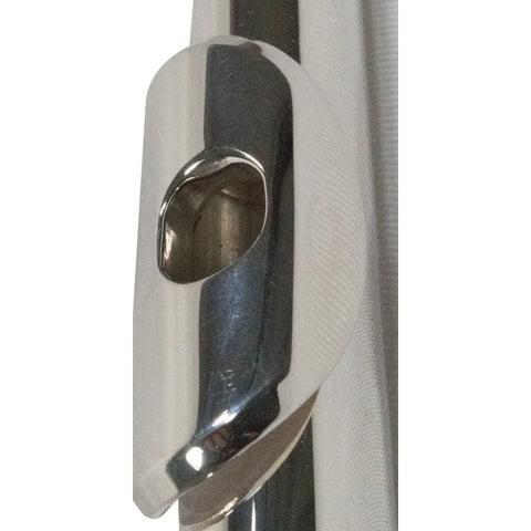 Wesner Sfl1100 Flauta Transversal Tono C Do Con Estuche Color Plateado