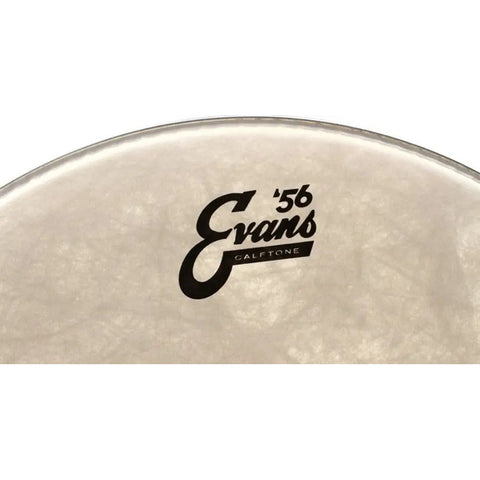 Evans Tt16c7 Parche Golpe Tom 16 Pulgadas Calftone Sintético