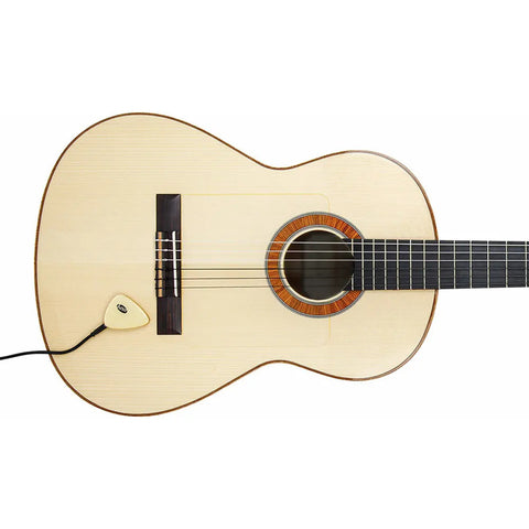 Pastilla Portátil Para Instrumentos Acusticos Kna Ap-1