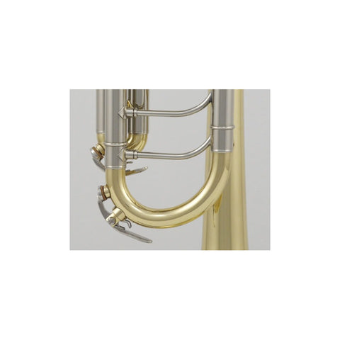Trompeta Con Tonalidad Bb C/estuche, Roy Benson Tr-202g