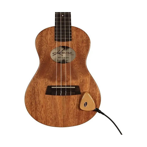Pastilla Portátil Para Instrumentos Acusticos Kna Ap-1