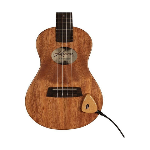 Pastilla Portátil Para Instrumentos Acusticos Kna Ap-1