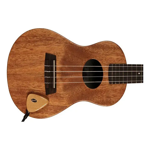 Pastilla Portátil Para Instrumentos Acusticos Kna Ap-1