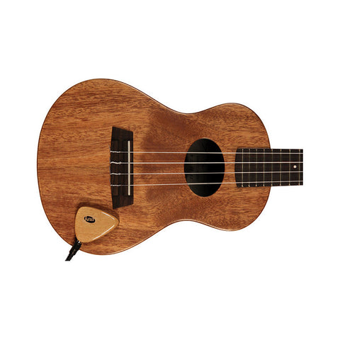 Pastilla Portátil Para Instrumentos Acusticos Kna Ap-1