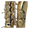 Saxofon Alto Acabado Laton Laqueado Wesner Psa2000-l