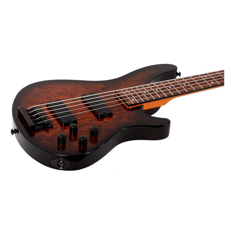 Bajo Electrico Schecter Tobacco Burl Elect. C-5 Standard Acabado Del Cuerpo Barnizado Cantidad De Cuerdas 5 Color Café Orientación De La Mano Diestro